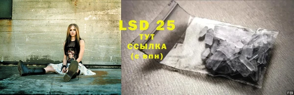 PSILOCYBIN Елабуга