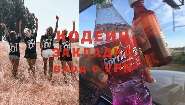 прущие крисы Заводоуковск