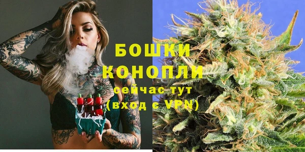 PSILOCYBIN Елабуга