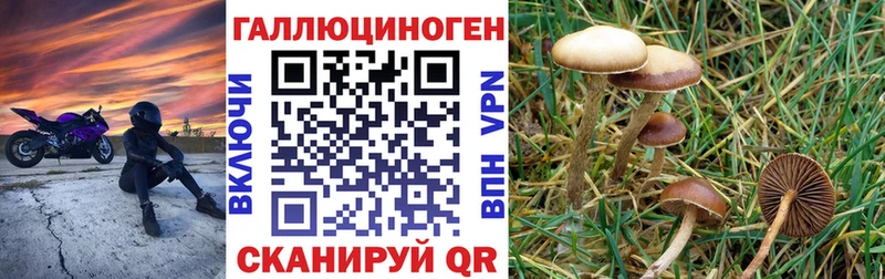 Галлюциногенные грибы ЛСД  Купить закладки  Куйбышев 